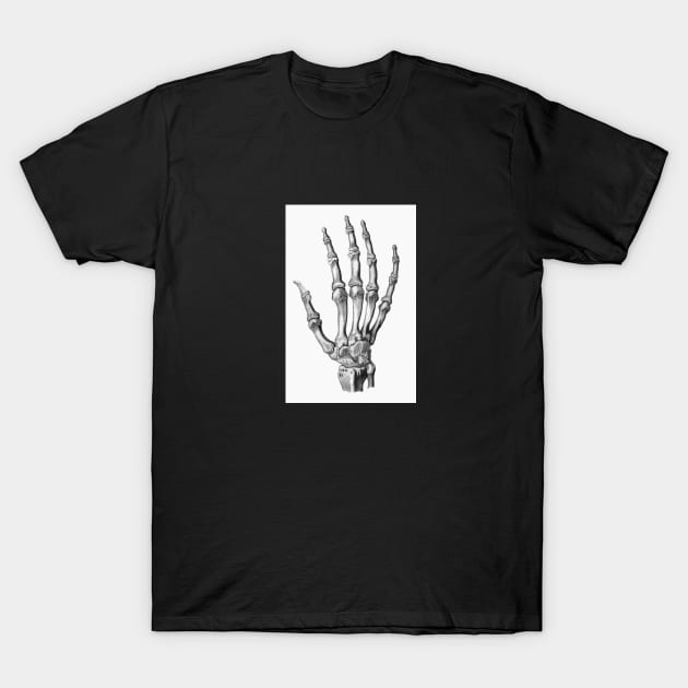 Skeleton Hand T-Shirt by VictorianGothic